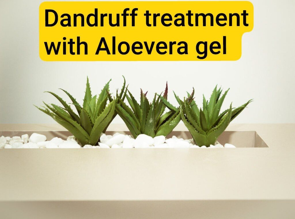 Dandruff treatment with aloevera gel