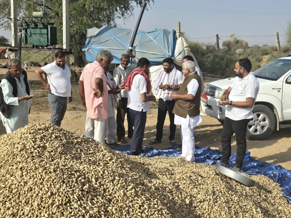 Sridungargarh:“खेत में मूंगफली... गिरदावरी में बिरानी", श्रीडूंगरगढ़ में फसल रिपोर्टिंग में बड़ा खेल, विधायक ताराचंद ने खुद देखा किसानों का दर्द 