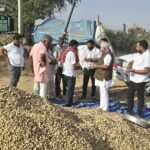 Sridungargarh:“खेत में मूंगफली... गिरदावरी में बिरानी", श्रीडूंगरगढ़ में फसल रिपोर्टिंग में बड़ा खेल, विधायक ताराचंद ने खुद देखा किसानों का दर्द 
