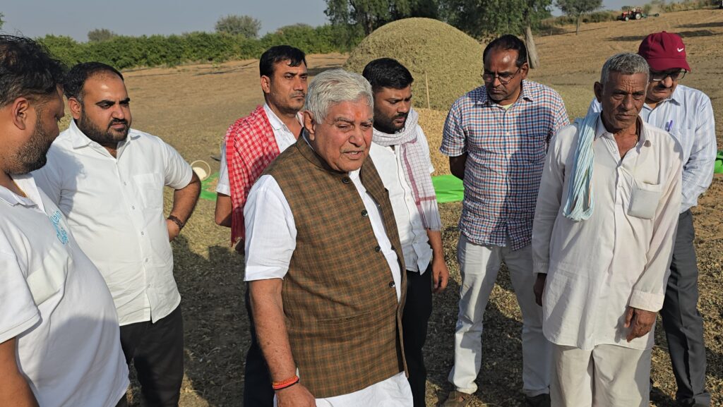 Sridungargarh: खेत में मूंगफली गिरदावरी में बिरानी, श्रीडूंगरगढ़ में फसल रिपोर्टिंग में बड़ा खेल, विधायक ताराचंद ने खुद देखा किसानों का दर्द 
