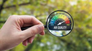 Pollution:बढ़ती प्रदूषित हवा से बचाएंगे ये 5 सुपर आयुर्वेदिक हैक्स, लंग्स से लेकर इमन्युटी सुधर जाएगी