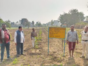 ग्राम पंचायत जमनापुर परासिया के विकास कार्यों का जनपद के अधिकारियों ने निरीक्षण दौरान की सराहना 