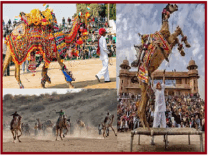 International camel festival 2026: 9 से 11 जनवरी तक बीकानेर में सांस्कृतिक, पर्यटन और विरासत कार्यक्रमों की धूम