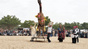 International camel festival 2026: 9 से 11 जनवरी तक बीकानेर में सांस्कृतिक, पर्यटन और विरासत कार्यक्रमों की धूम