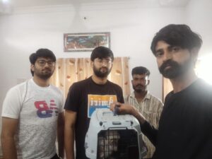 दुलचासर में दुर्लभ ‘राजा उल्लू’ का रेस्क्यू, स्थानीय युवक की सतर्कता से बची तीनों पक्षियों की जान