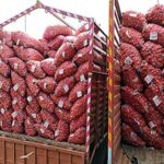 प्याज से भरे ट्रक में मिला ढाई किलो डोडा पोस्त, एक गिरफ्तार