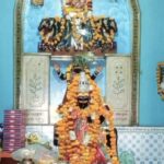 शनि शिंगणापुर धाम बीकानेर में शनि जयंती और अमावस्या आयोजन