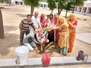 विश्व पर्यावरण दिवस पर जिला परिषद परिसर में हुआ वृक्षारोपण