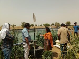मुख्य कार्यकारी अधिकारी ने किया जल संरक्षण कार्यों का अवलोकन