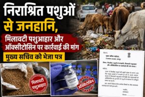 निराश्रित पशुओं से जनहानि, मिलावटी पशुआहार और ऑक्सीटोसिन पर कार्रवाई की मांग, मुख्य सचिव को भेजा पत्र