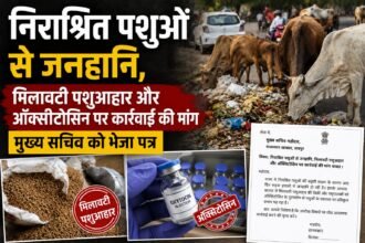 निराश्रित पशुओं से जनहानि, मिलावटी पशुआहार और ऑक्सीटोसिन पर कार्रवाई की मांग, मुख्य सचिव को भेजा पत्र