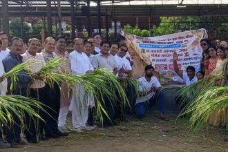 युवा परिषद् प्रतापनगर ने जीवदया सेवा में किया 1100 किलो सब्जियां, फल व हरा चारा समर्पित