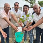 जीएसटी दिवस पर केंद्रीय जीएसटी विभाग ने किया पौधारोपण, पर्यावरण संरक्षण का दिया संदेश