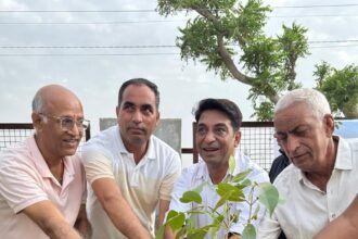 जीएसटी दिवस पर केंद्रीय जीएसटी विभाग ने किया पौधारोपण, पर्यावरण संरक्षण का दिया संदेश