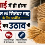 जुलाई में ही होगा अगस्त एवं सितंबर माह के लिए आवंटित गेहूं का उठाव भी