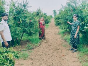 राष्ट्रीय बागवानी मिशन योजना अंतर्गत 54 हैक्टेयर क्षेत्रफल में फल बगीचा स्थापना के लक्ष्य