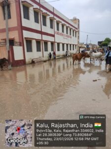 राजकीय बालिका विद्यालय में जलभराव की समस्या के स्थायी समाधान की मांग, जिला कलक्टर को सौंपा ज्ञापन