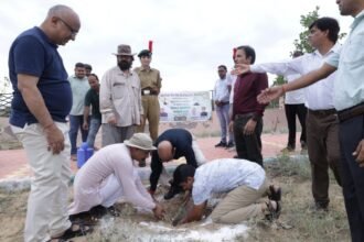 कारगिल विजय दिवस पर एमजीएसयू में हुआ पौधारोपण, शहीदों को दी श्रद्धांजलि