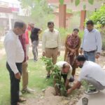 हरियालो राजस्थान अभियान : औषधीय पौधों के संरक्षण का लिया संकल्प