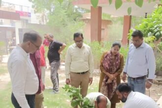 हरियालो राजस्थान अभियान : औषधीय पौधों के संरक्षण का लिया संकल्प