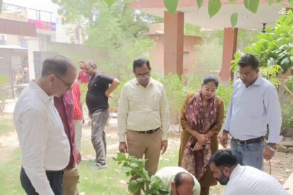 हरियालो राजस्थान अभियान : औषधीय पौधों के संरक्षण का लिया संकल्प