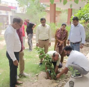 हरियालो राजस्थान अभियान : औषधीय पौधों के संरक्षण का लिया संकल्प