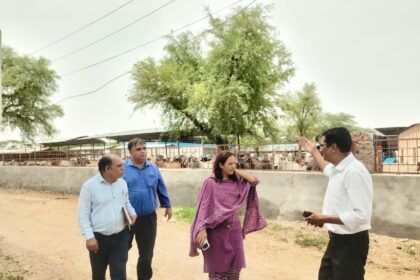 जिला परिषद की मुख्य कार्यकारी अधिकारी शैलजा पांडे ने श्री मुरली मनोहर गौशाला का किया निरीक्षण