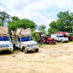 अवैध लकड़ी कटान एवं परिवहन के विरुद्ध वन विभाग की कार्रवाई