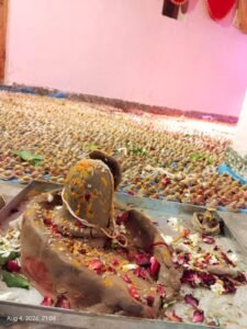 राजस्थान में पहली बार जिलैरी सहित बन रहे सवा लाख पार्थिव शिवलिंग, 250 भक्त 12 घंटे कर रहे अनुष्ठान