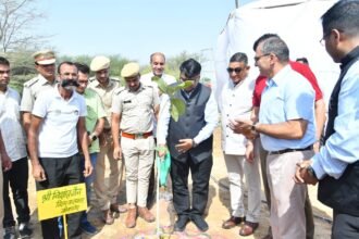 प्रकृति संरक्षण का संकल्प, 1000 से अधिक पौधों का रोपण
