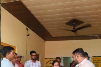 ग्राम पंचायत नाल बड़ी में विकास कार्यों एवं अभिलेखों का निरीक्षण, दिए आवश्यक निर्देश