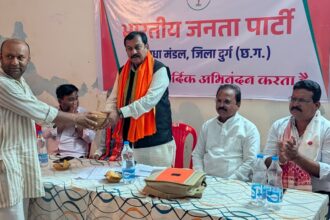 भाजपा मंडल धमधा में कार्यसमिति एवं सेवा संकल्प अभियान की संयुक्त बैठक संपन्न