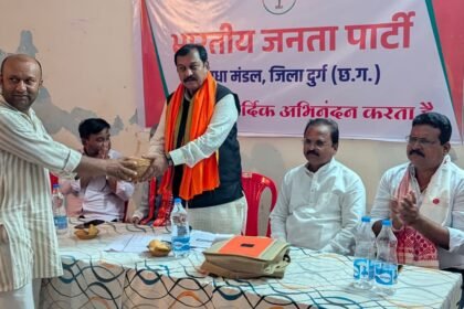 भाजपा मंडल धमधा में कार्यसमिति एवं सेवा संकल्प अभियान की संयुक्त बैठक संपन्न