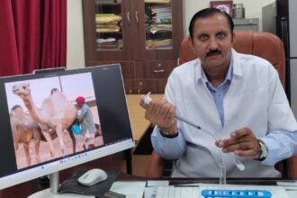 ऊंटनी के दूध पर शोध को मिली बड़ी उपलब्धि, डॉ. राजकुमार बेरवाल को भारत सरकार से पेटेंट