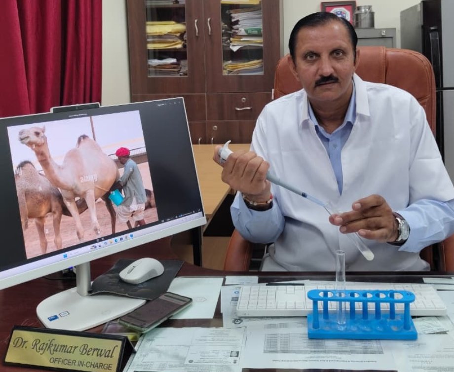 ऊंटनी के दूध पर शोध को मिली बड़ी उपलब्धि, डॉ. राजकुमार बेरवाल को भारत सरकार से पेटेंट