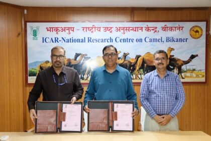 ऊंटों के वायरल रोगों पर अनुसंधान को मिलेगी गति, एनआरसीसी बीकानेर एवं एनआईवी पुणे के बीच एमओयू